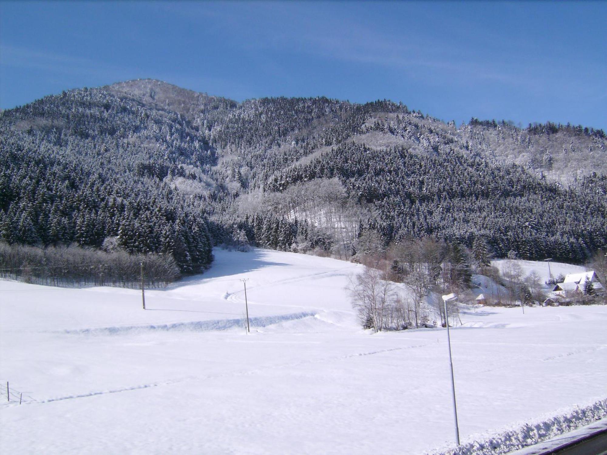 Hotel Gasthaus Zur Erle Simonswald Zewnętrze zdjęcie